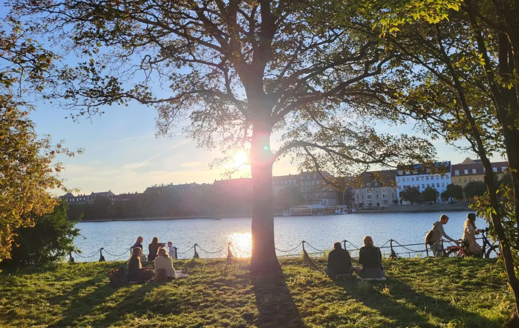 Samtaleterapi skaber selvindsigt, forandring og indre ro. Carsten Lyn Psykoterapeut MPF - København Østerbro